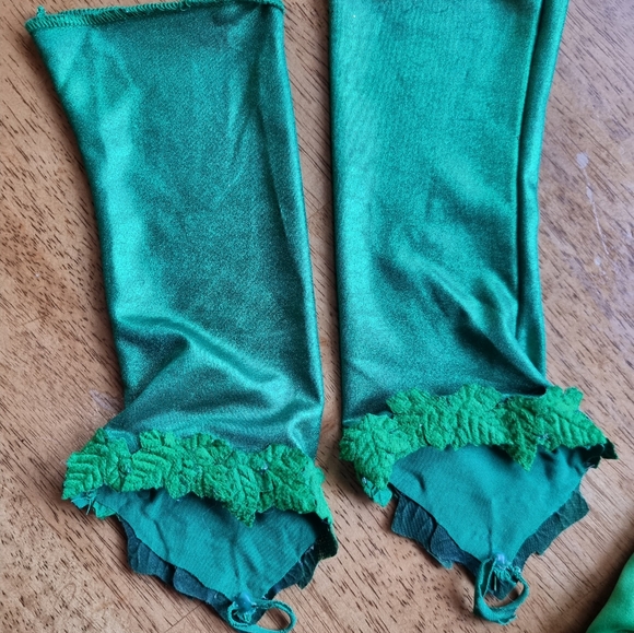 DC Superheroes Poison Ivy Adult Deluxe Corset & Glovelettes Halloween Costume - Picture 5 of 10